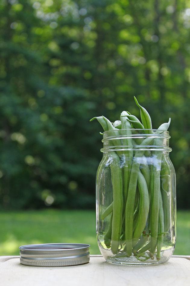 Green beans in a jar.