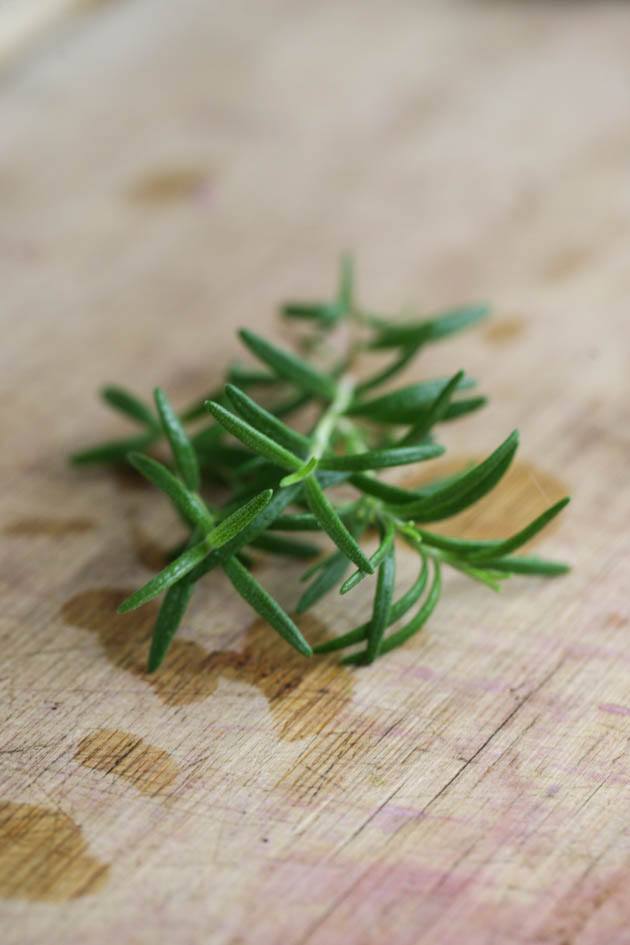 Stems of rosemary.