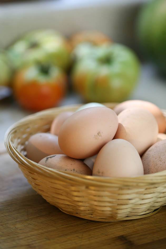 A basket of eggs