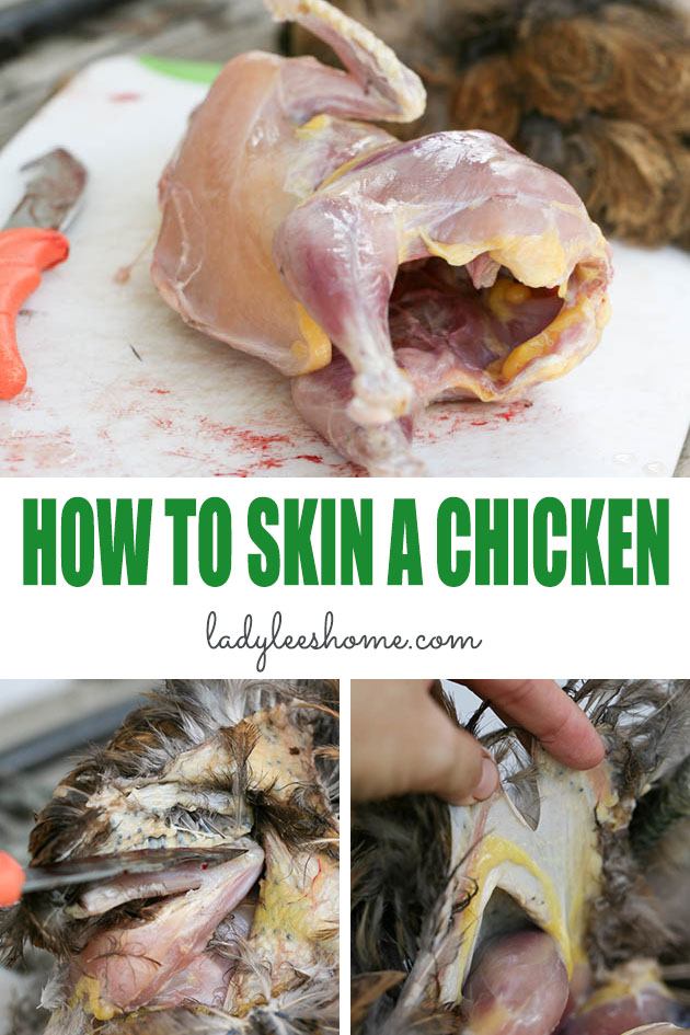 Let me show you how to skin a chicken in this step by step picture tutorial. Skinning is easy and can save you time when processing meat chickens.
#howtoskinachicken #skinningachicken #raisingmeatchickens