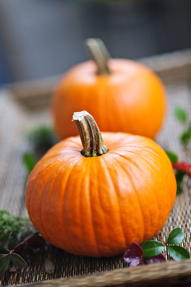 Pie pumpkins.