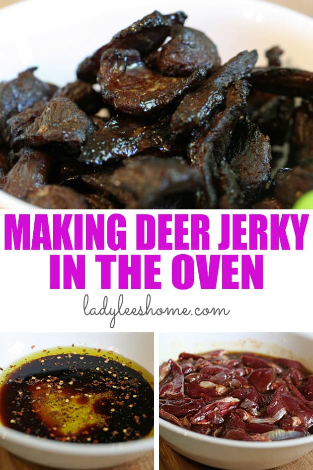 Venison Jerky Recipe (oven and dehydrator instructions)