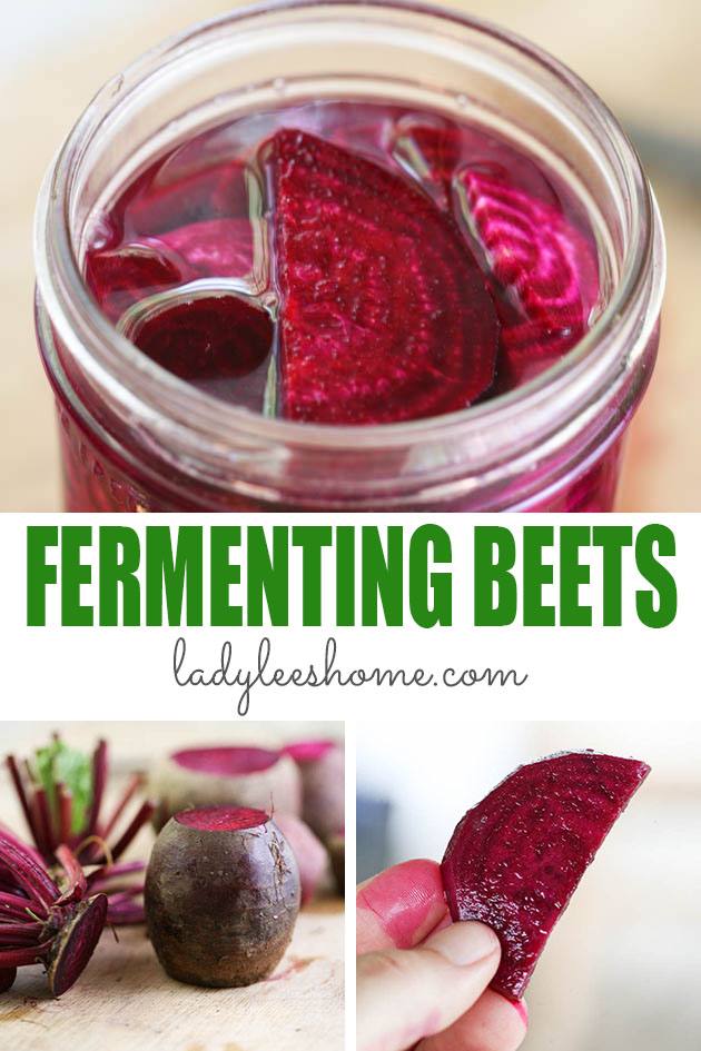 Fermenting Beets Step by Step Lady Lee's Home