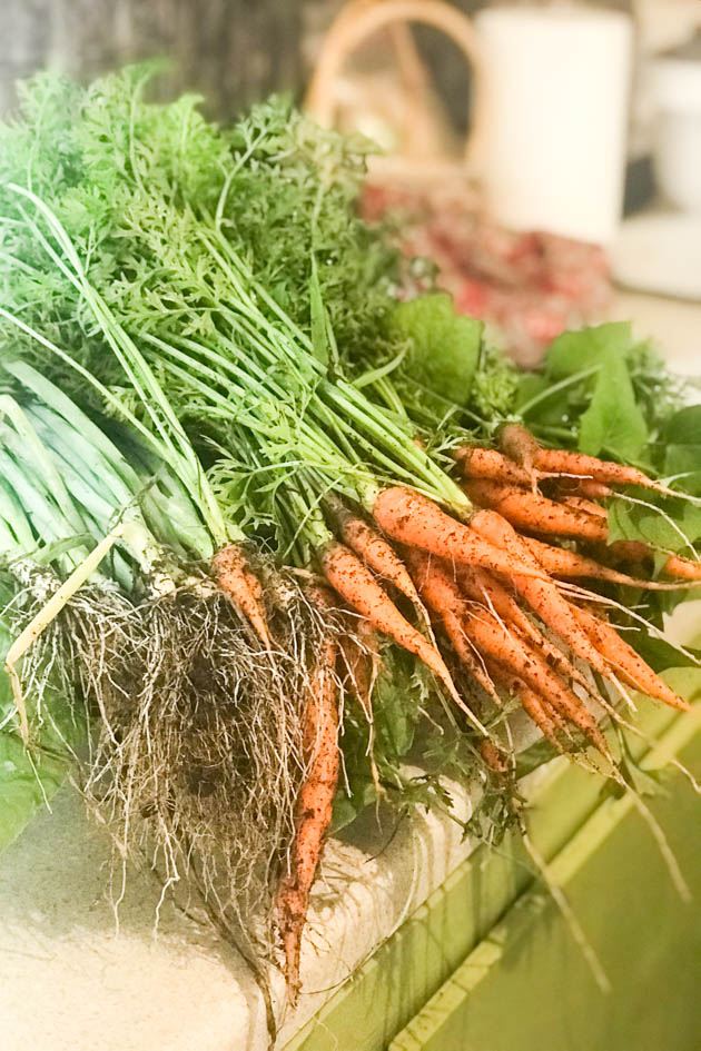 Carrots from the garden.