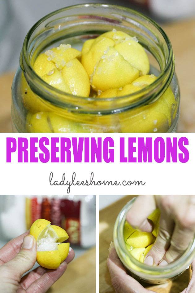 In this post, I'll show you how to preserve whole lemons in salt and oil. It's so easy and a great way to preserve lemons. They are an amazing addition to so many dishes!
#preservinglemons #howtopreservelemons #preservedlemons