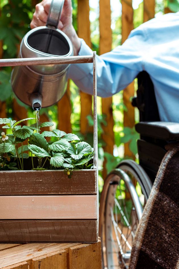 A person in a wheelchair waters a plant.