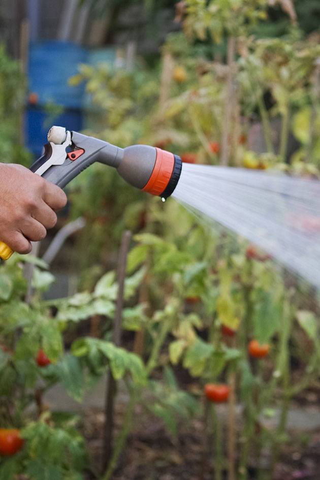 Watering the garden.