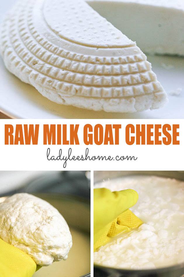 This raw goat milk cheese recipe is easy and is a great way to process your raw goat milk into cheese. You can freeze this cheese or enjoy it right away!
#rawmilkgoatcheese #goatcheeserecipe #howtomakegoatcheese #cheesemaking #homemadecheeserecipe