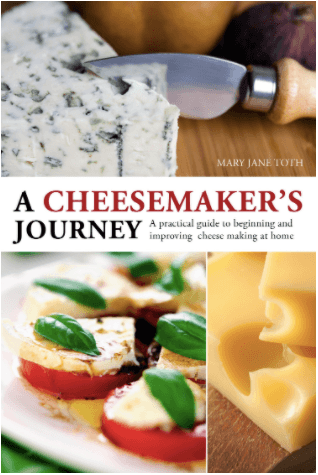 Cheesemaking Equipment That You Need! - Lady Lee's Home