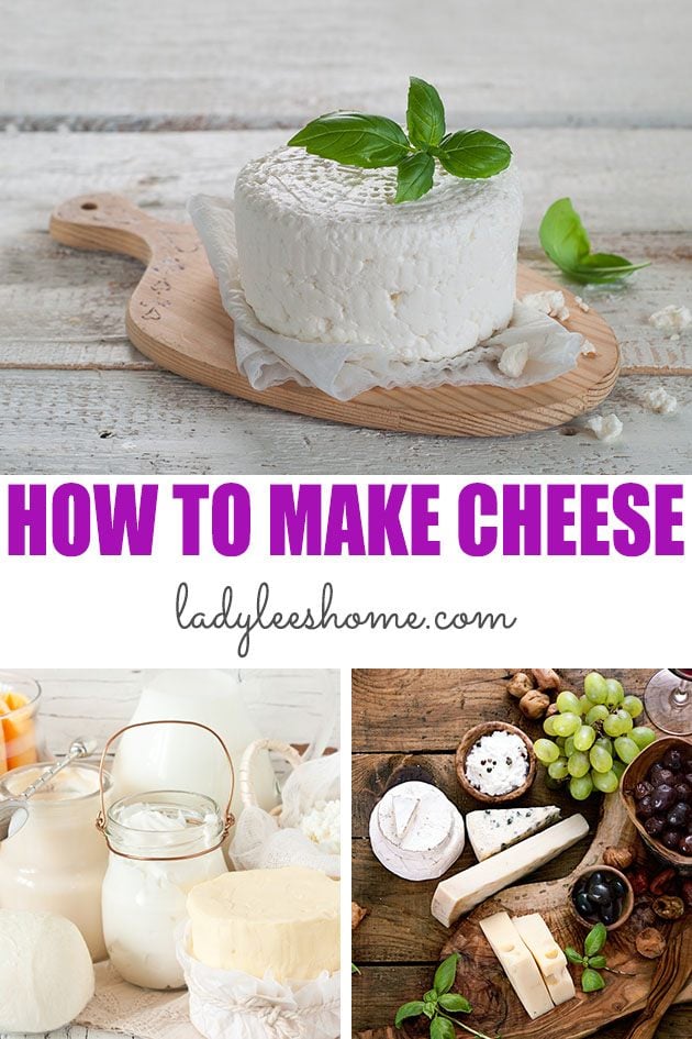 How to Make Homemade Cheese Recipe