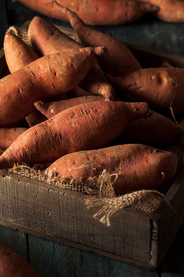 Curing sweet potatoes.