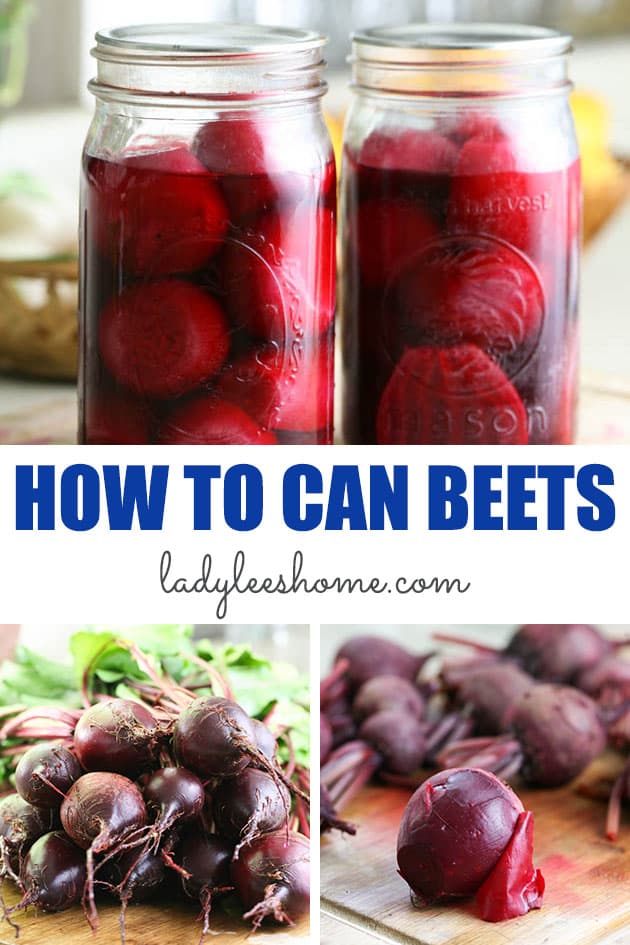 Learn how to can beets at home so you can use them year-round and for long term storage. Canning beets is simple and doesn't take too long. Beets need to be pressure canned whole or sliced. I'll show you how to easily can beets in the picture tutorial below. 