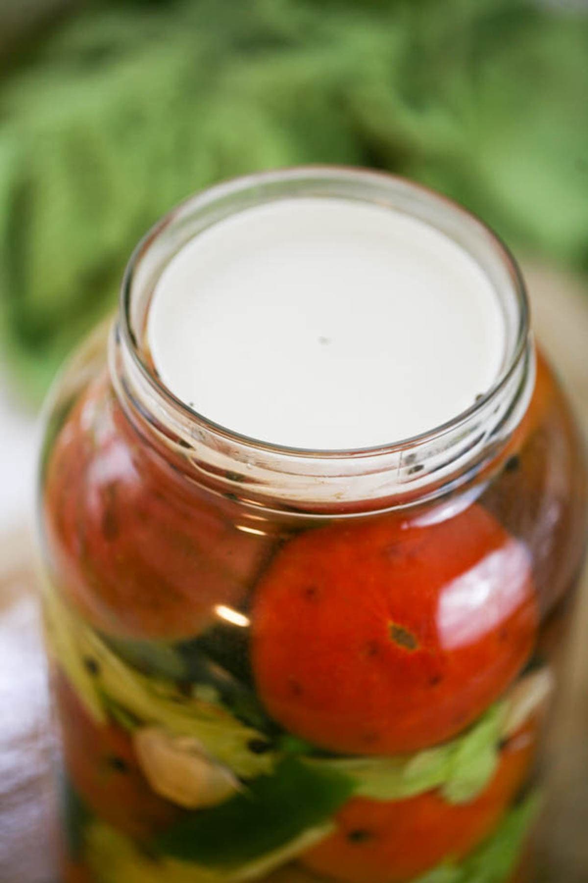 Placing the fermentation weight on top of the tomatoes.