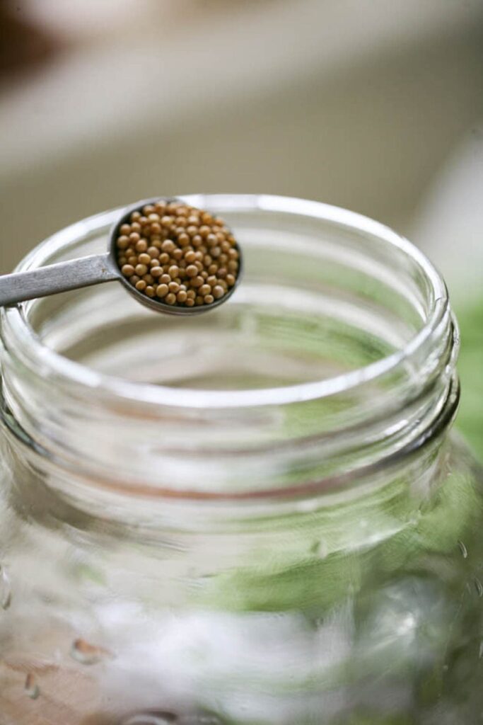 LactoFermented Green Beans Lady Lee's Home