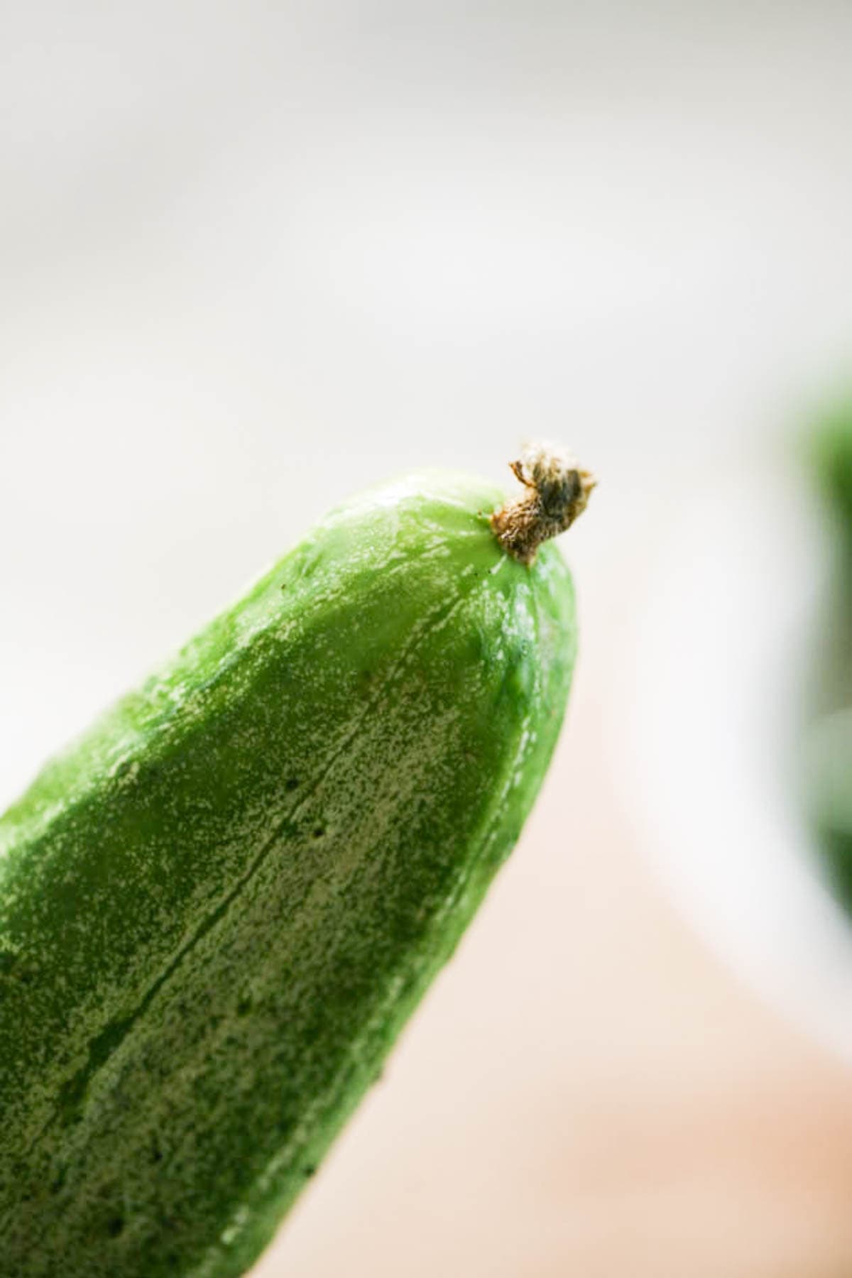 Blossom end of a cucumber.