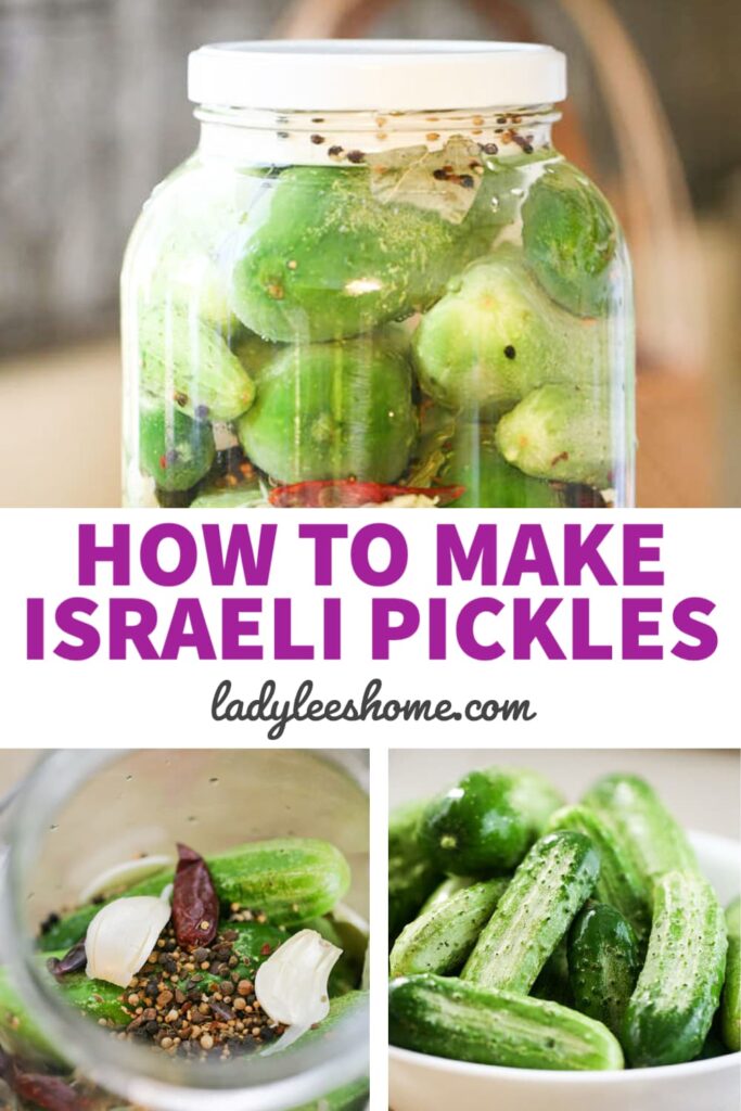 Fermenting Cucumbers Making Israeli Pickles Lady Lee's Home