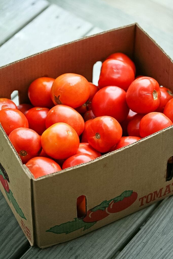 Canning Tomato Sauce Step by Step - Lady Lee's Home