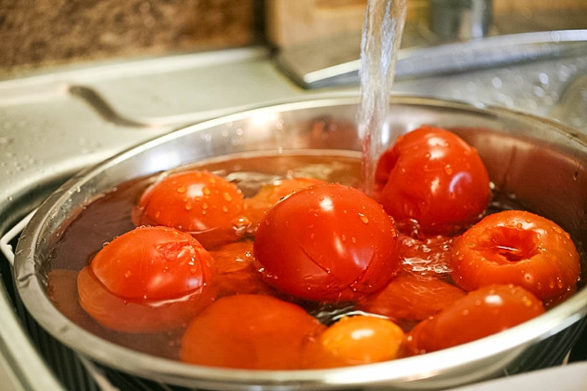 Cooling tomatoes before peeling. 