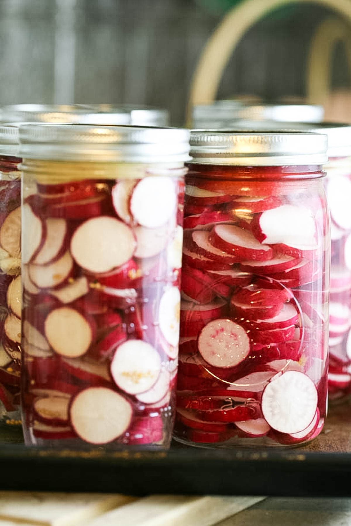 Placing the jars of fermented radish on a sheet pan or plate.