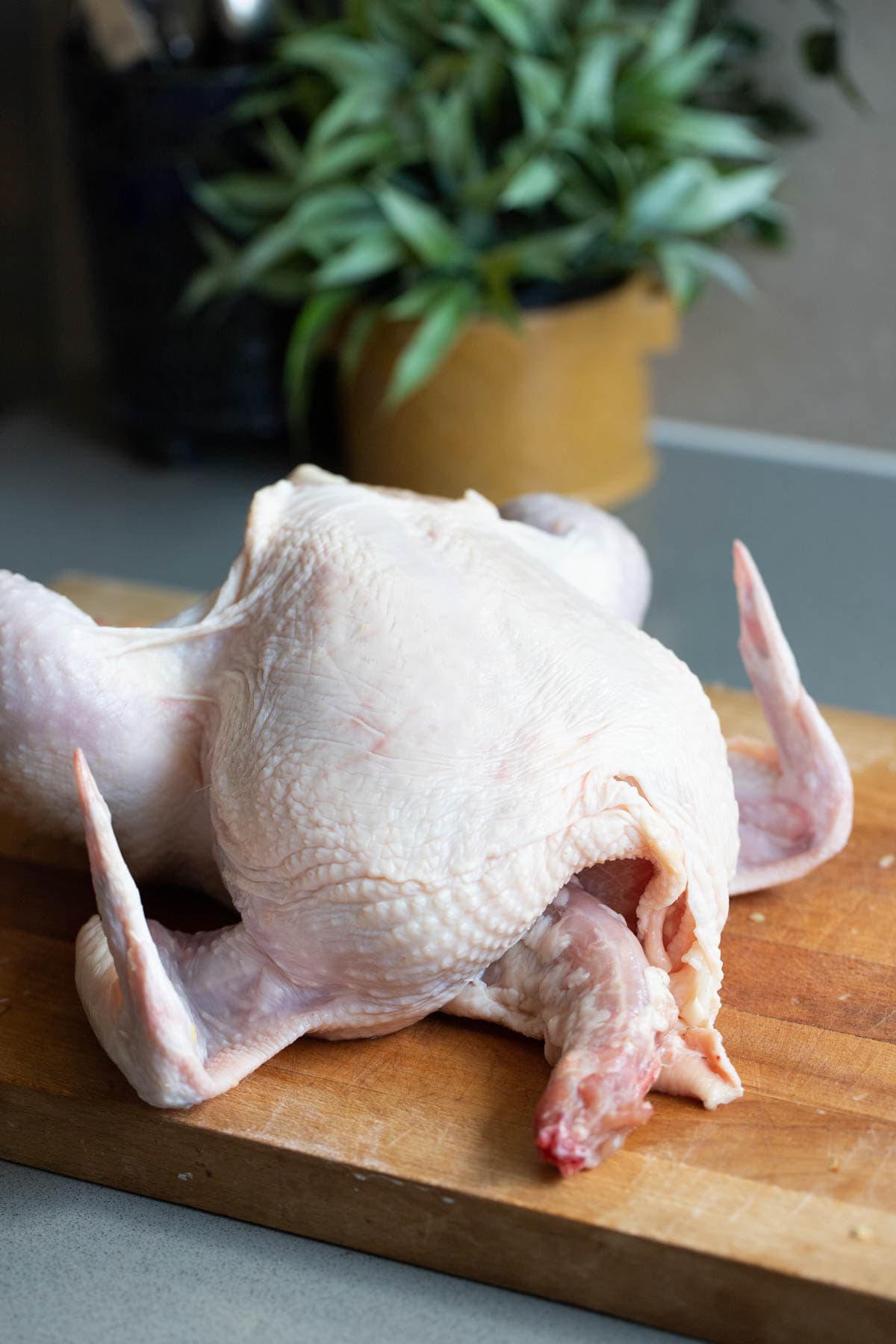 A whole chicken on a cutting board.