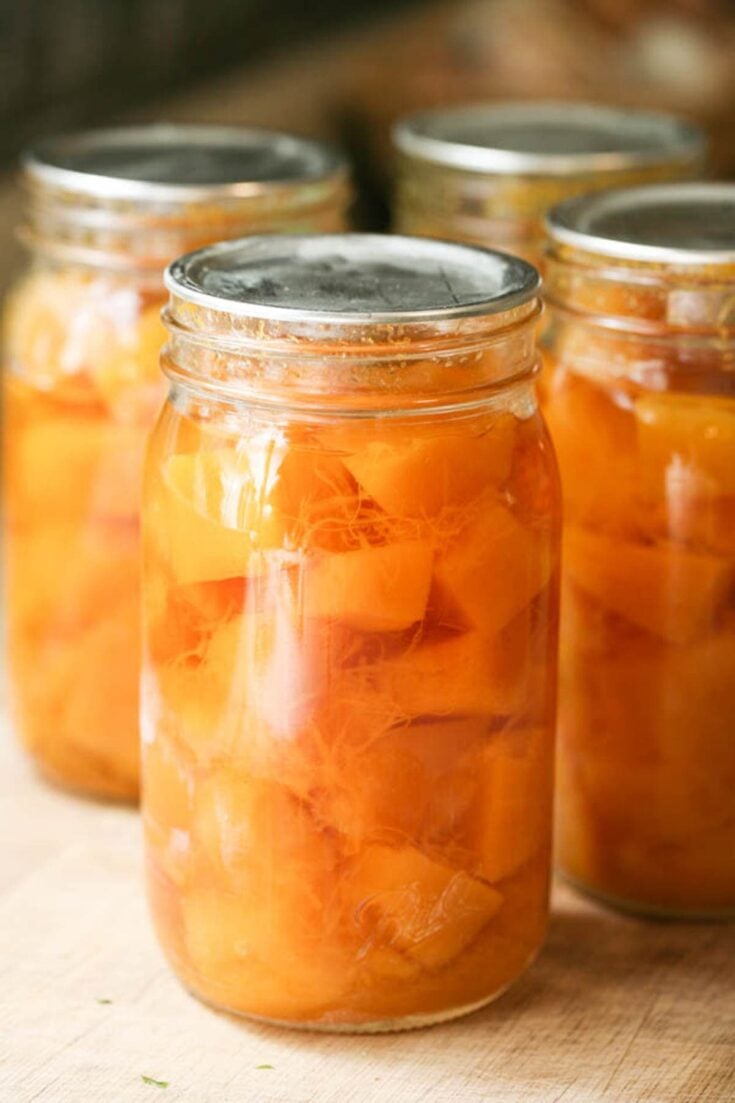 https://ladyleeshome.com/wp-content/uploads/2021/10/canning-pumpkin-13-735x1103.jpg