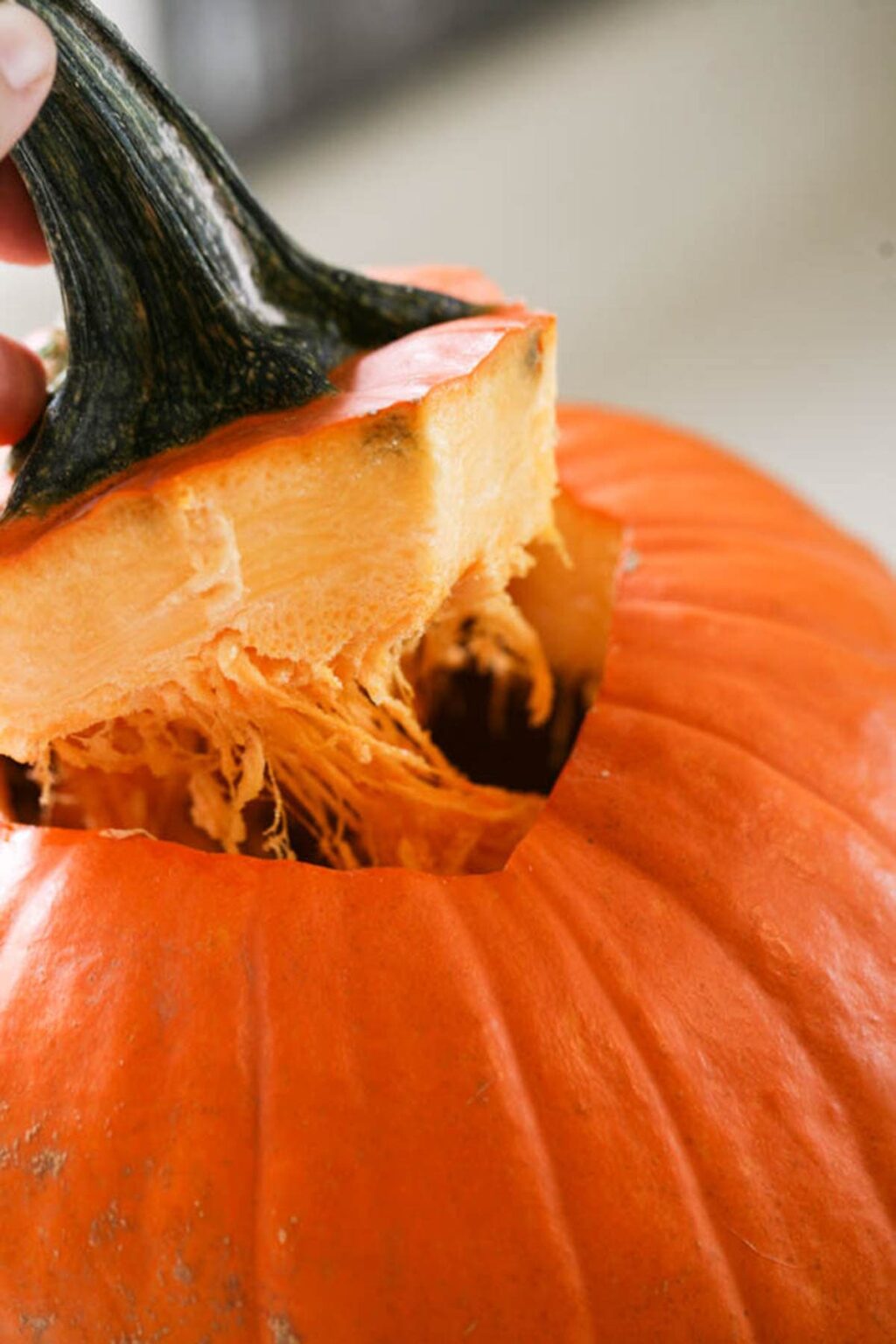 How to Can Pumpkin Step-By-Step - Lady Lee's Home