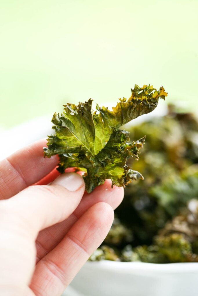 Dehydrated Kale Chips Recipe (Oven Method) Lady Lee's Home