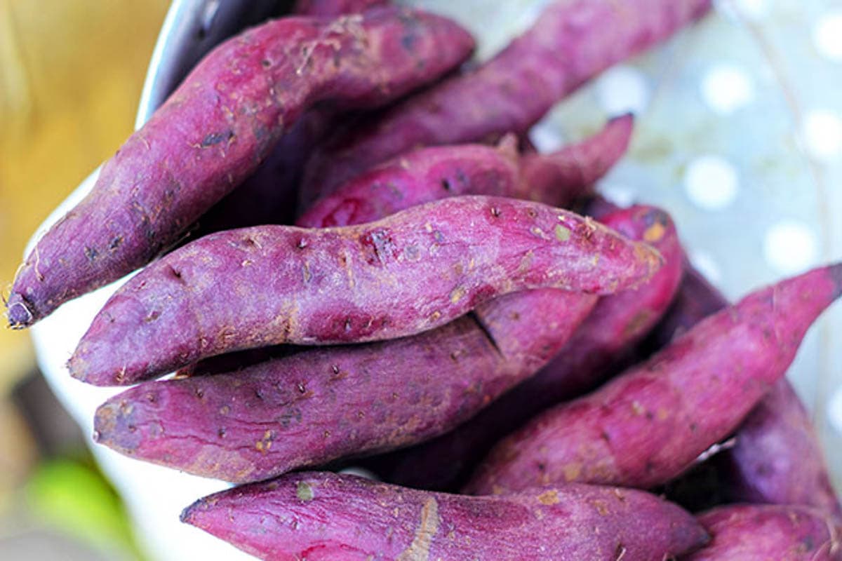 Purple sweet potatoes after harvesting.