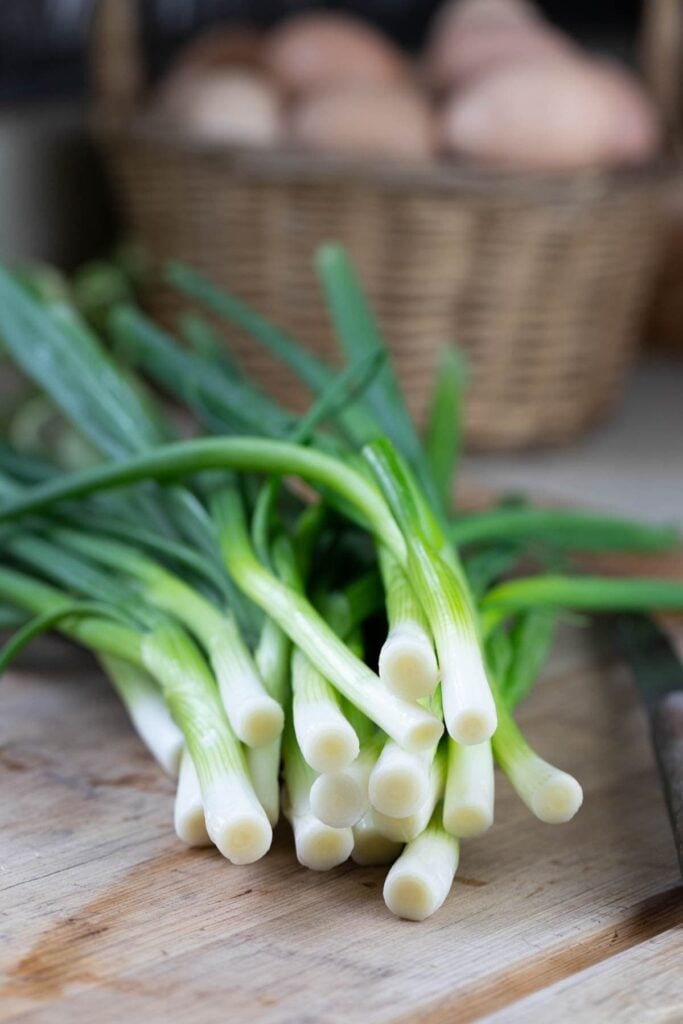 green onions without roots