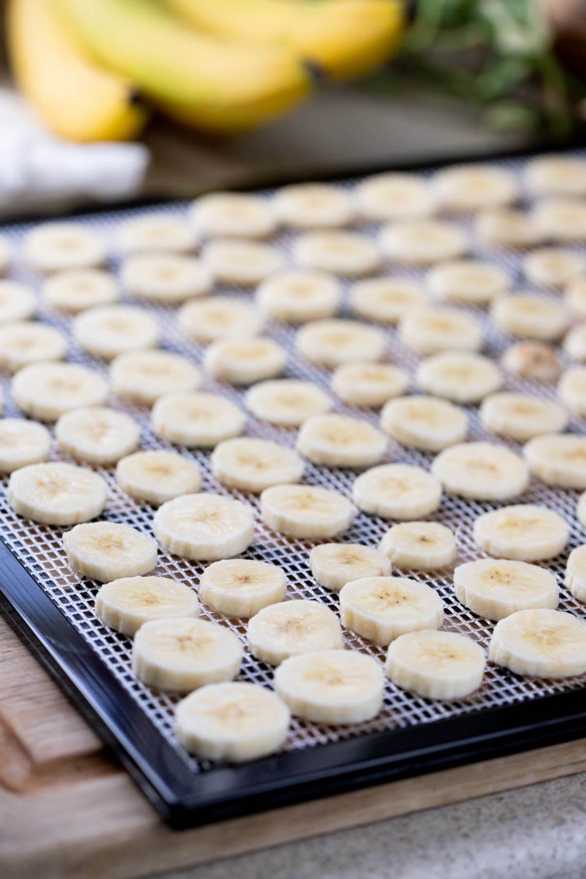 setting banana slices in one layer on the tray of the dehydrator
