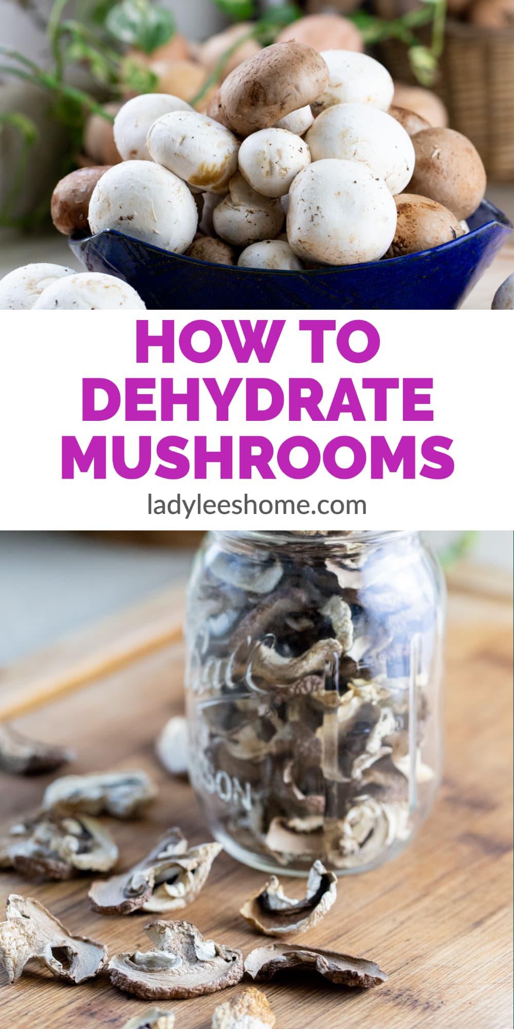 How to Dehydrate Mushrooms Lady Lee's Home