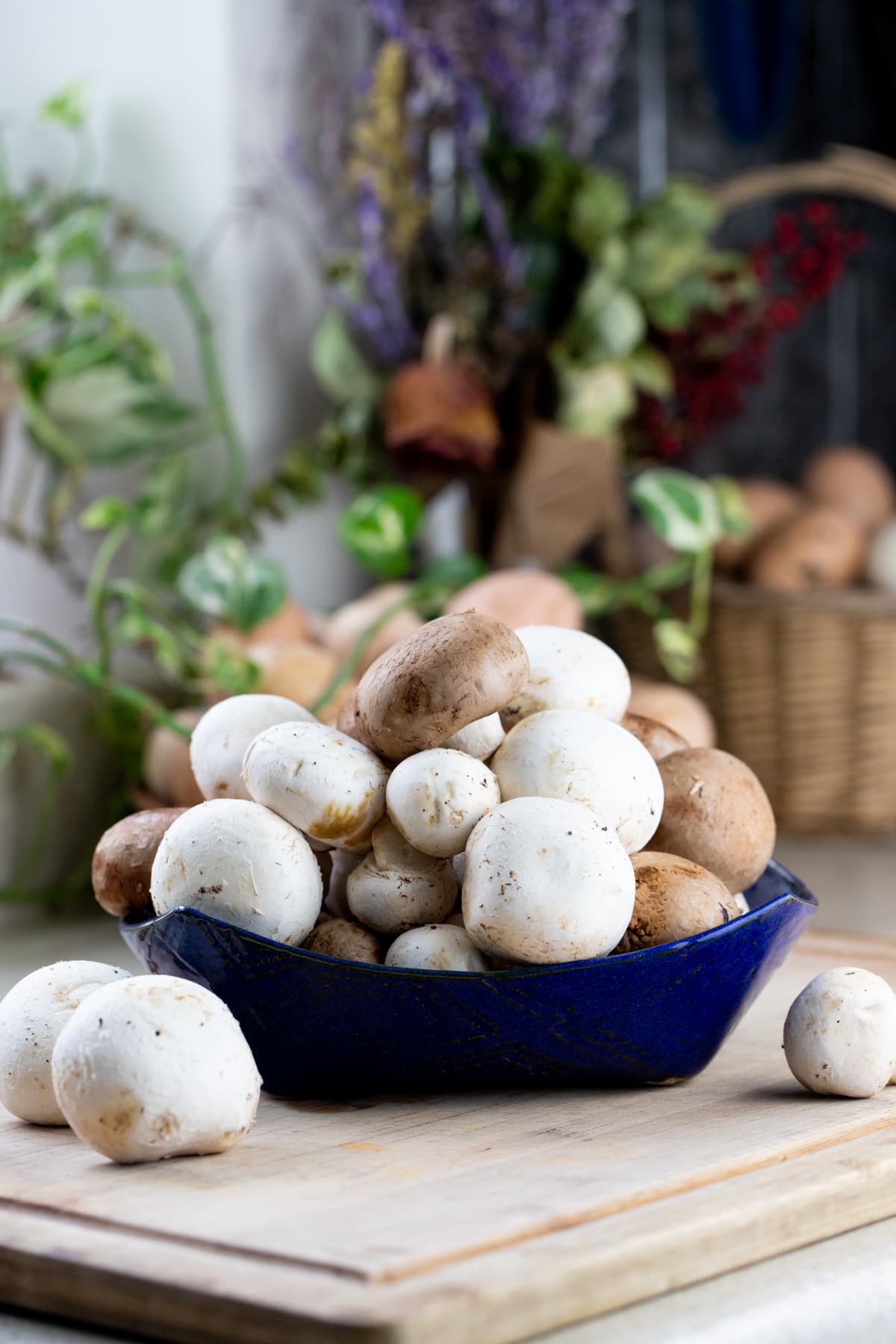 a bowl of fresh mushrooms