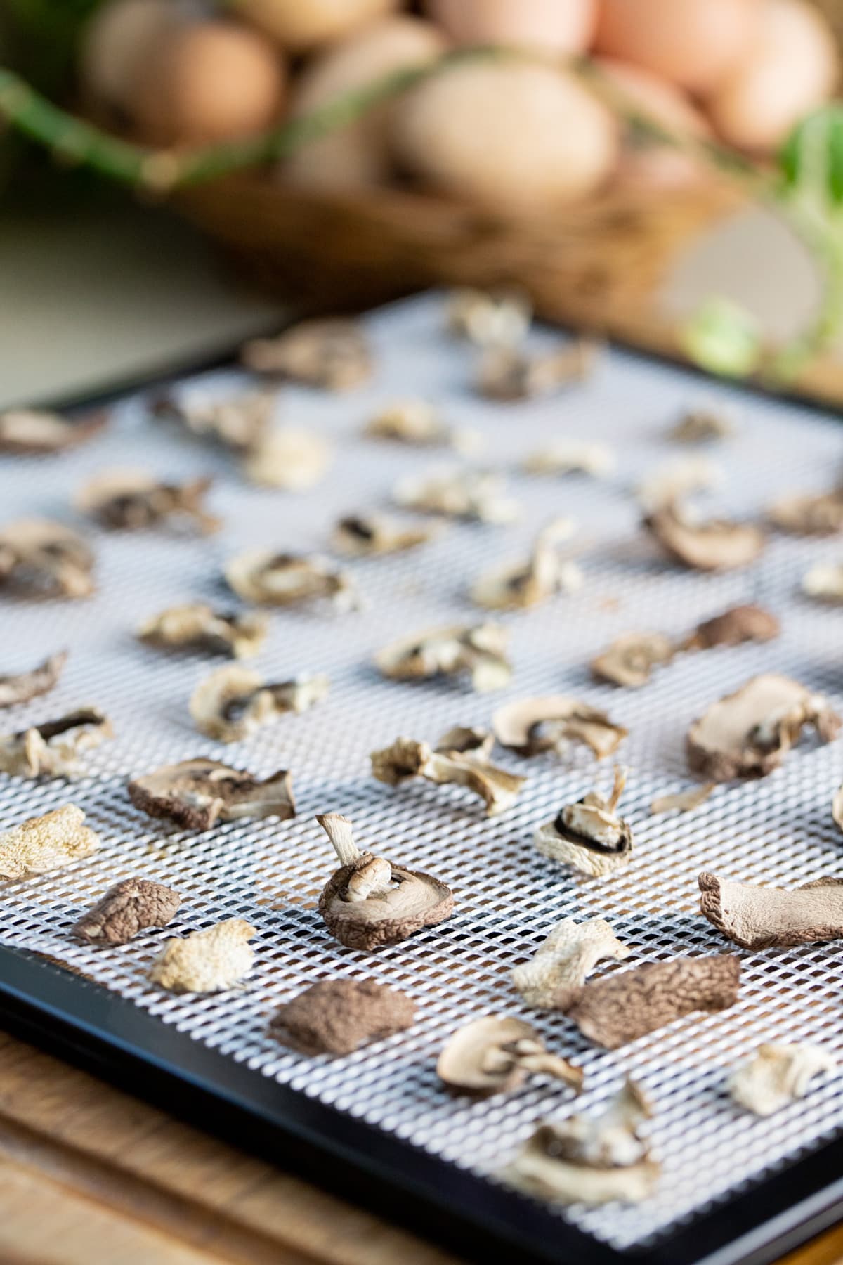 dehydrated mushrooms on the tray of the dehydrator