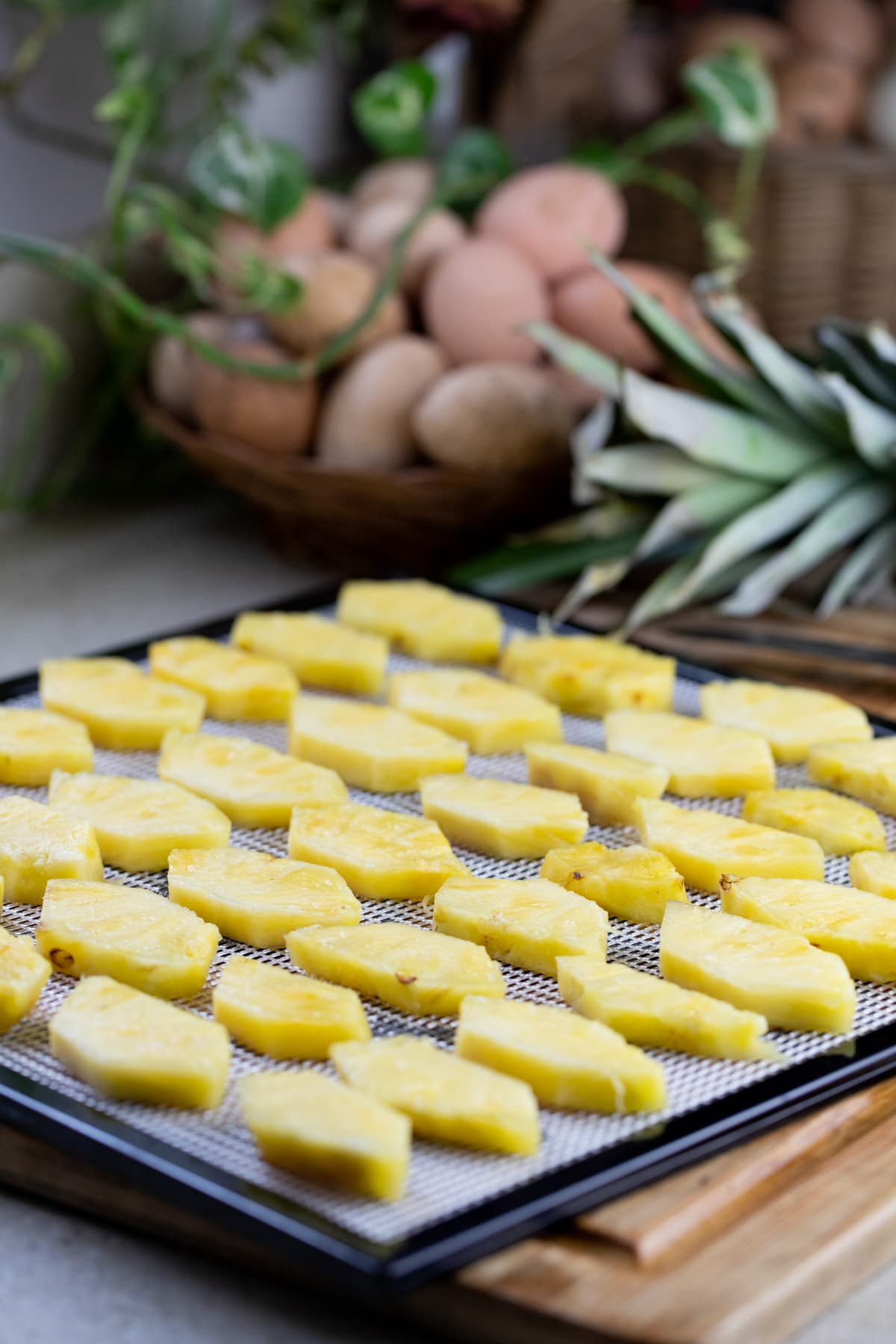 setting pineapple in one layer on the tray of the dehydrator