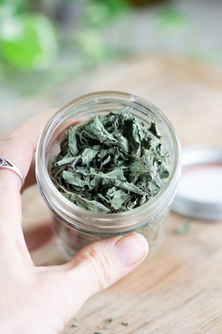 How to Dry Oregano Lady Lee's Home