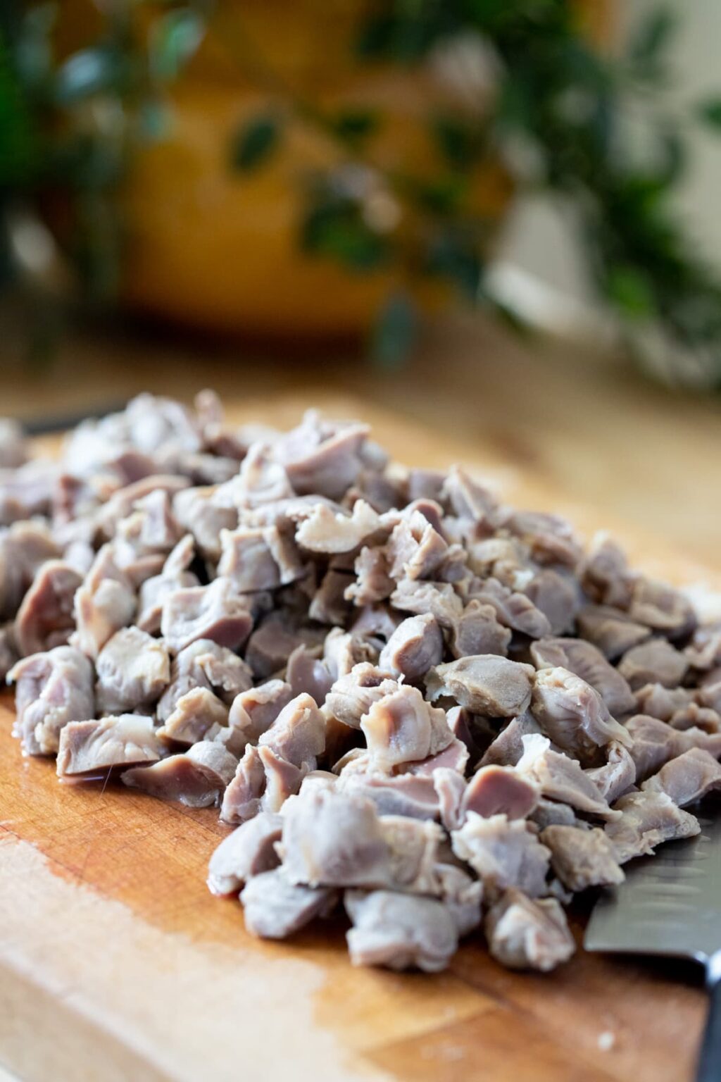 Chicken Gizzard Recipe Lady Lee's Home