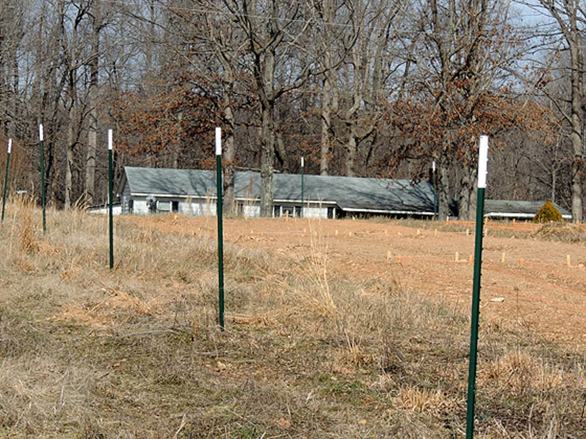 driving the post into the ground