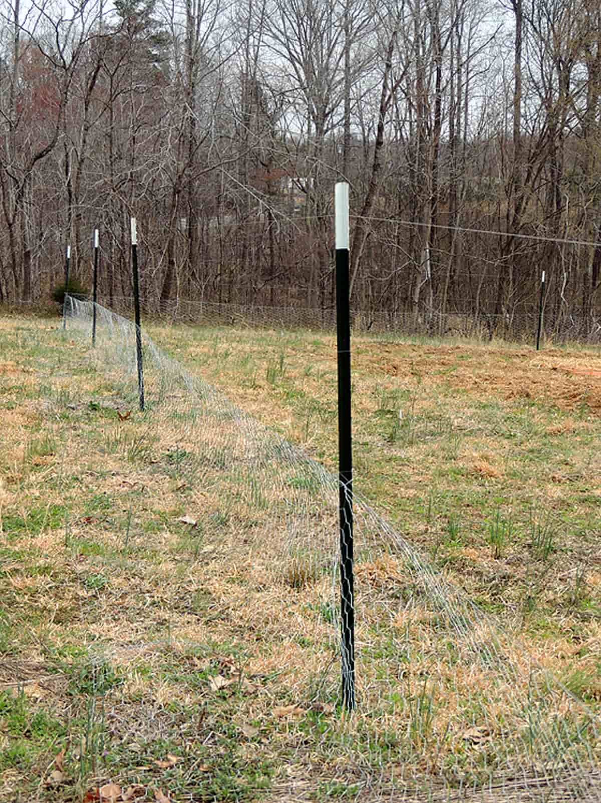 A Nearly Invisible Fishing Line Deer Fence