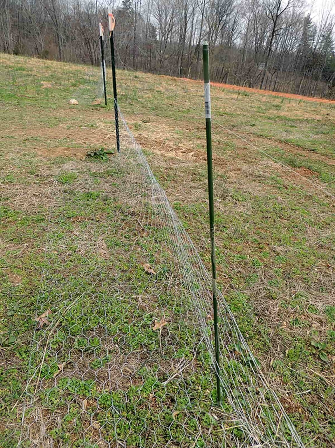 Fishing Line Deer Fence - Lady Lee's Home