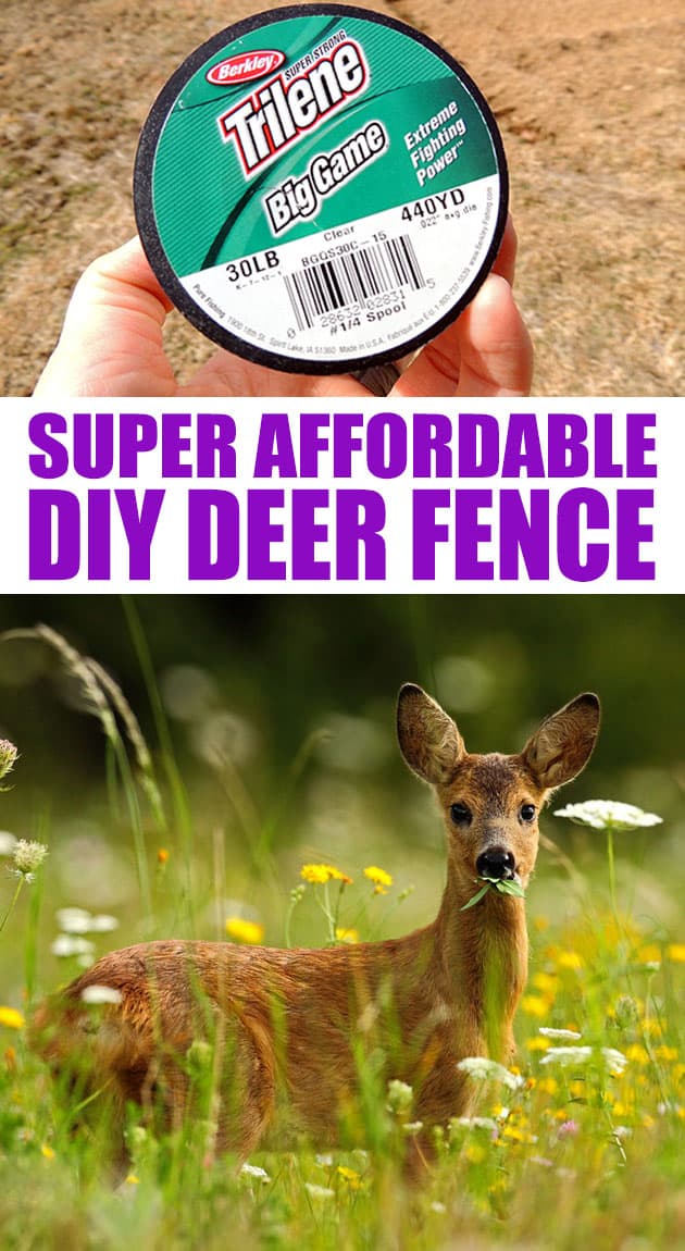 Fishing Line Deer Fence Lady Lee's Home