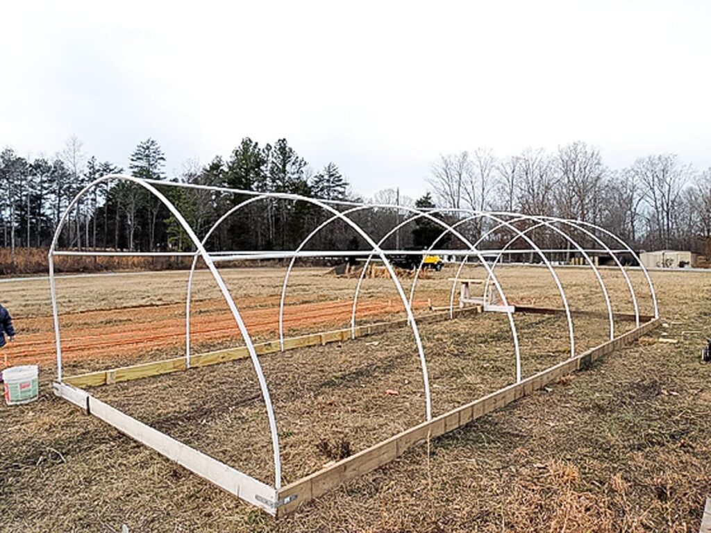 12'x30' DIY PVC Greenhouse For 360 Lady Lee's Home
