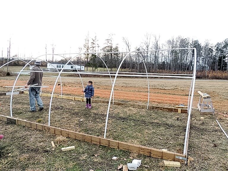 12'x30' DIY PVC Greenhouse For $360 - Lady Lee's Home