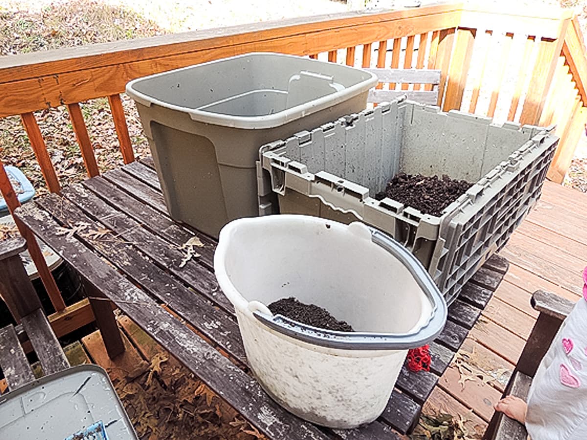 cleaning the old worm composting bin