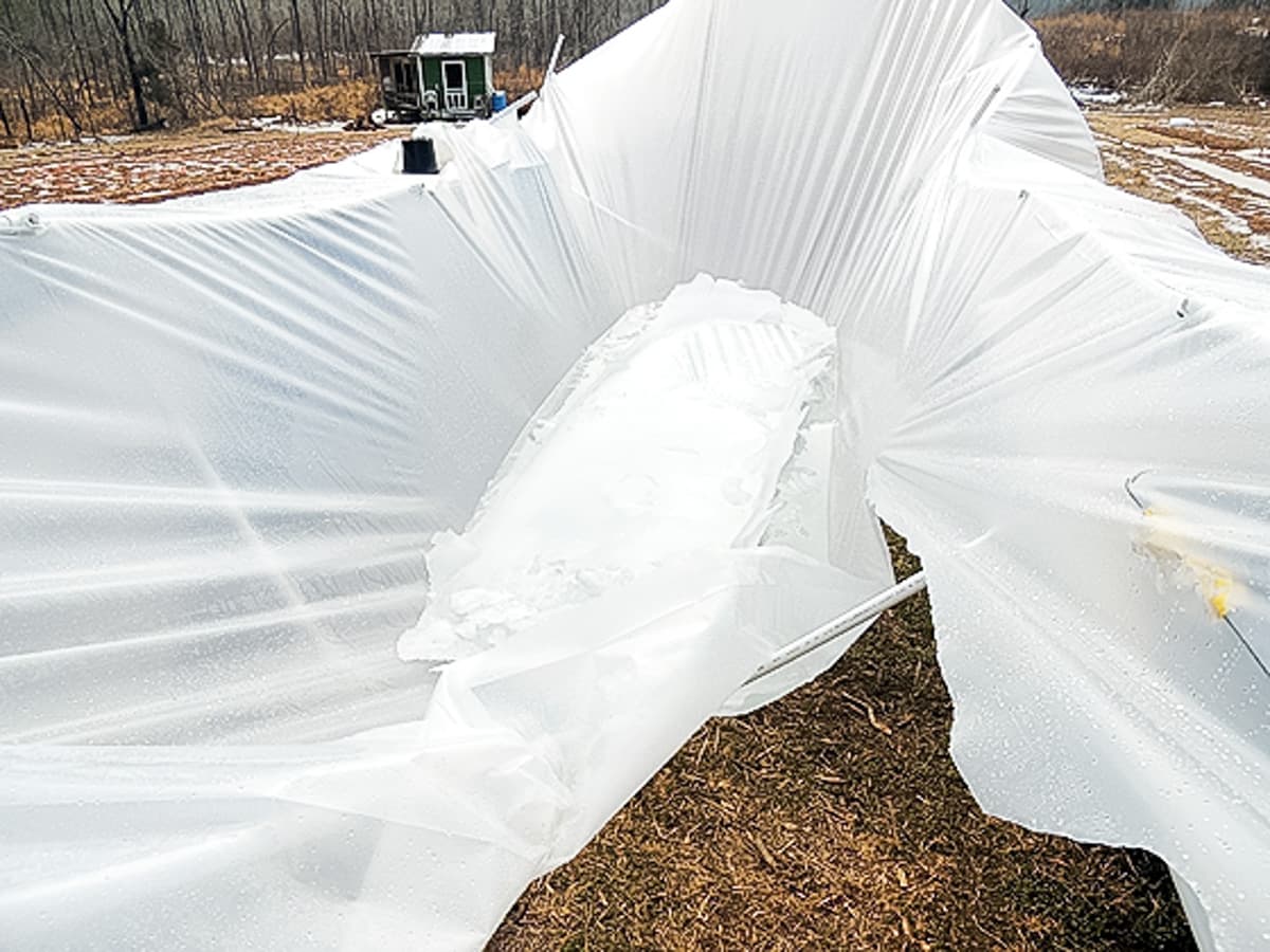 ice on the greenhouse