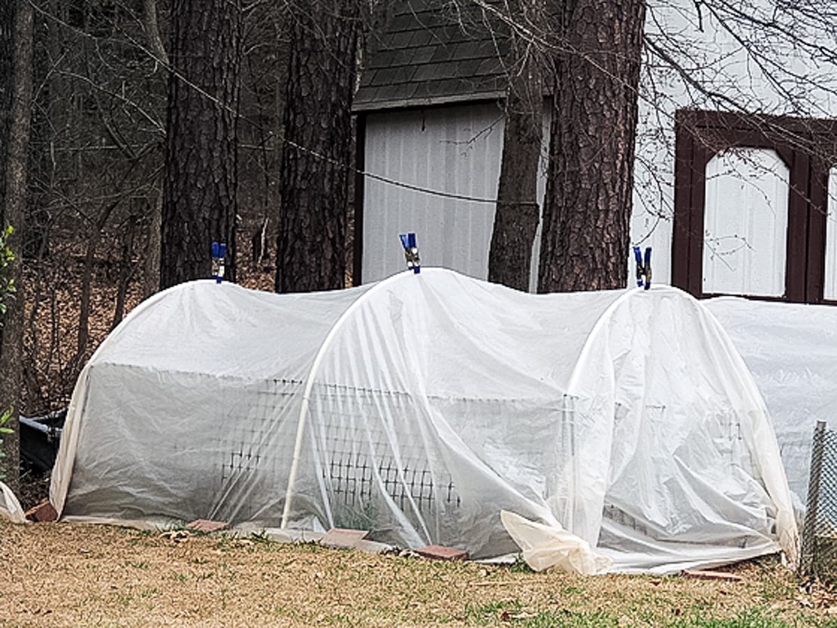 plan b covering the raised beds