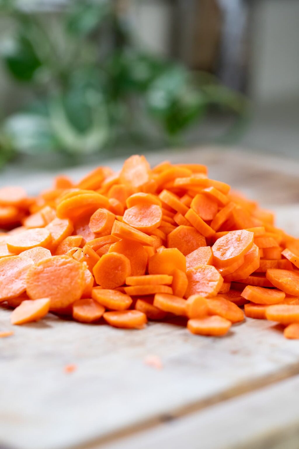 Dehydrating Carrots Lady Lee's Home