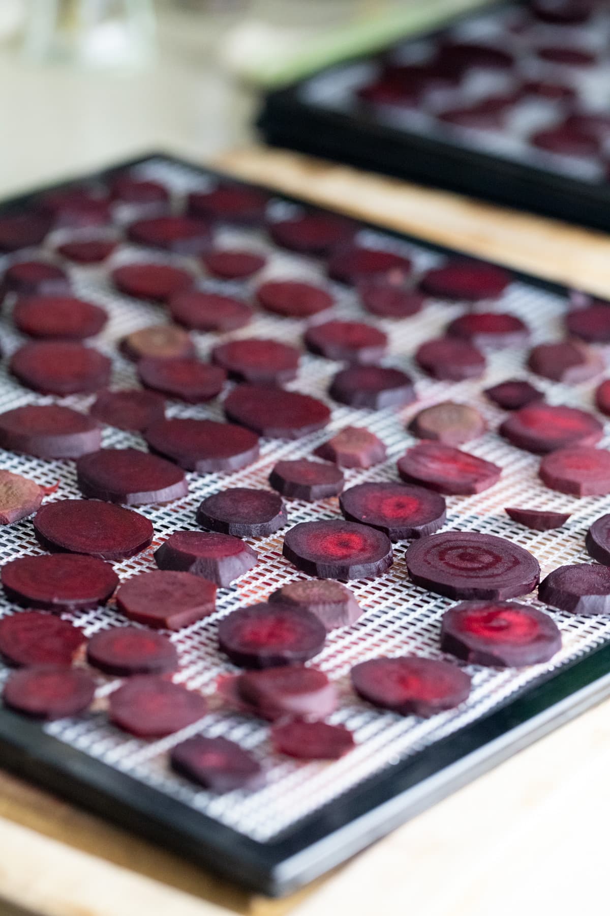 setting the beets on the trays of the dehydrator