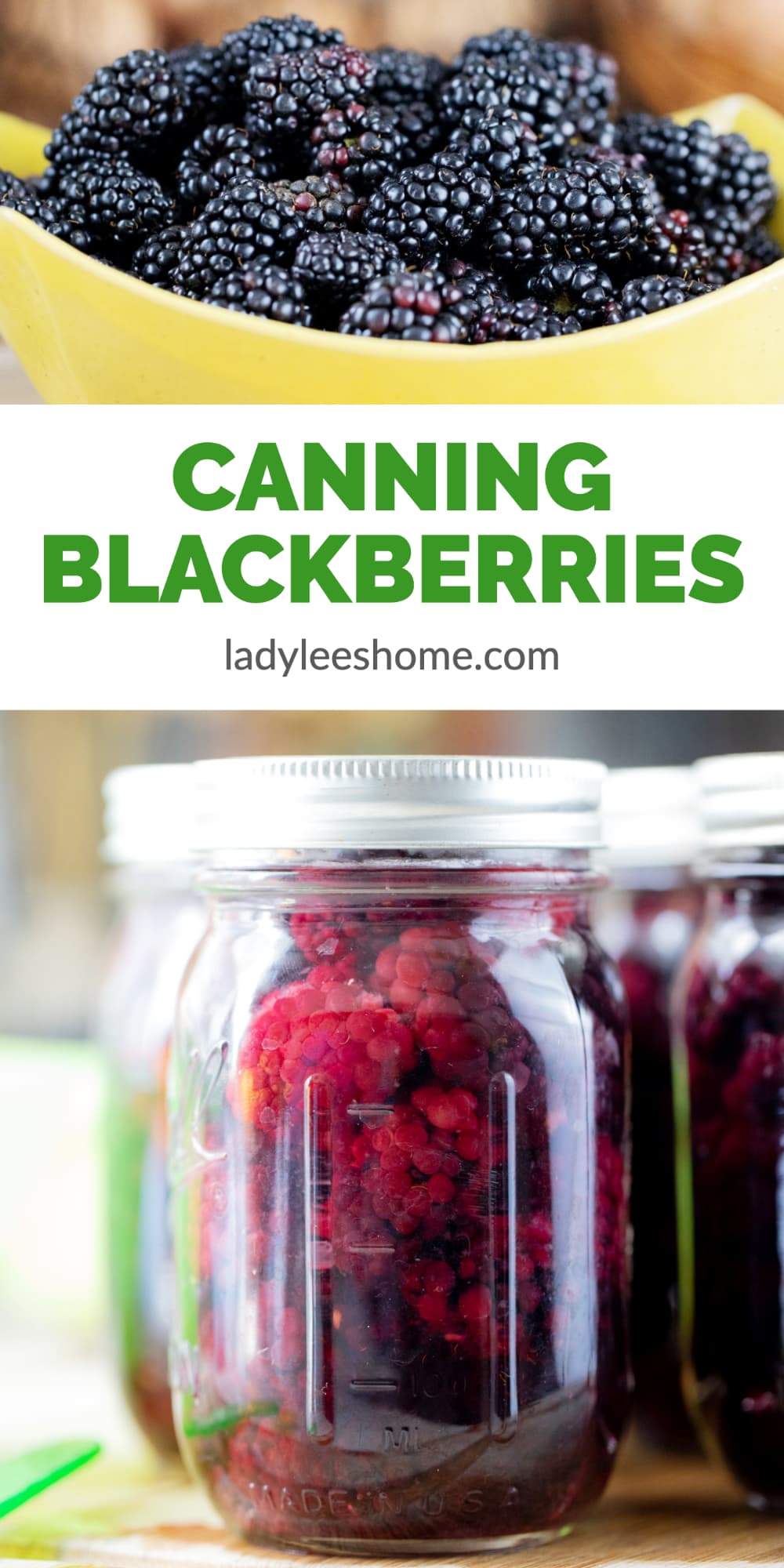 Canning Blackberries Lady Lee S Home