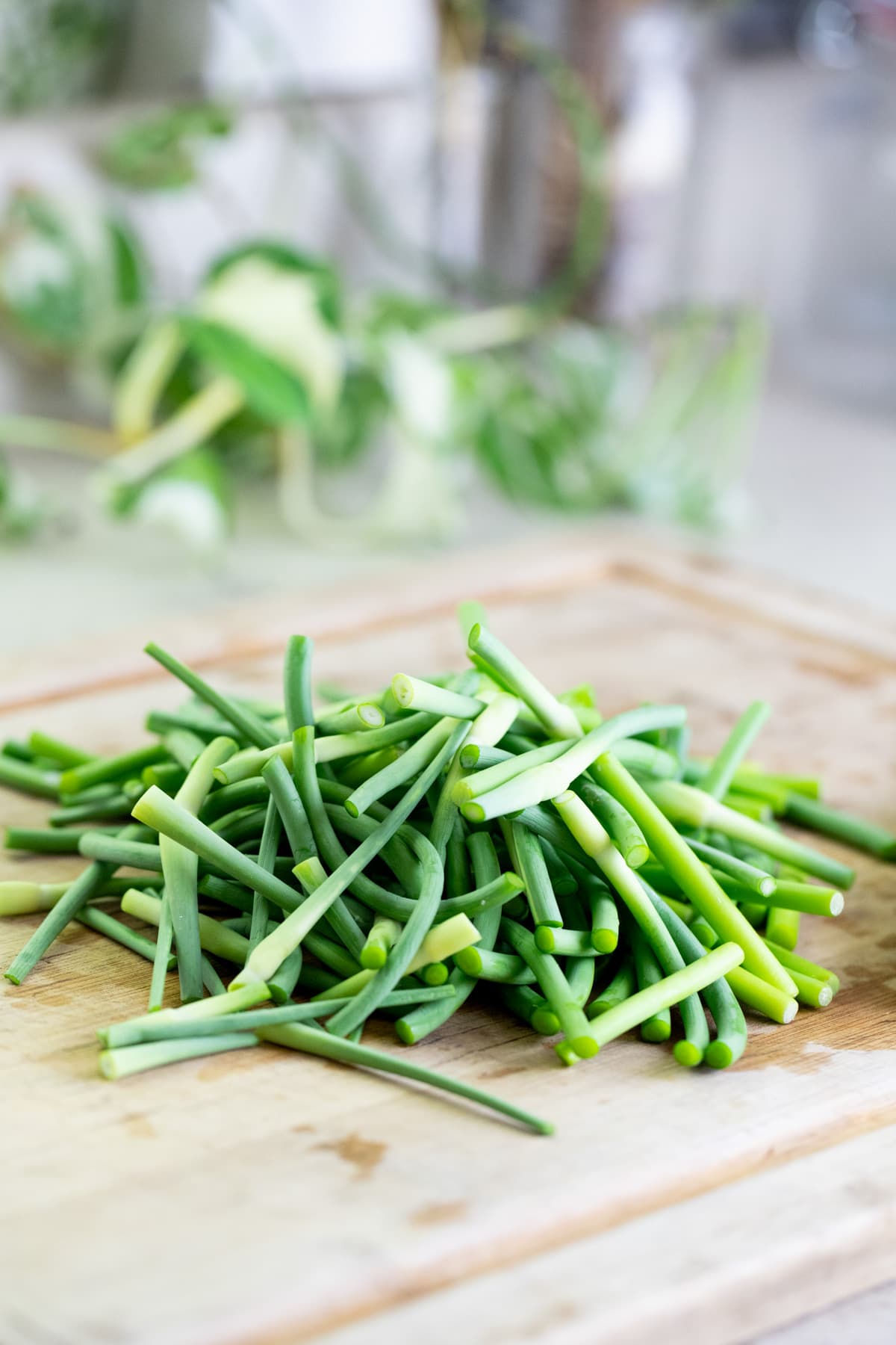 cutting the garlic scapes to smaller pieces