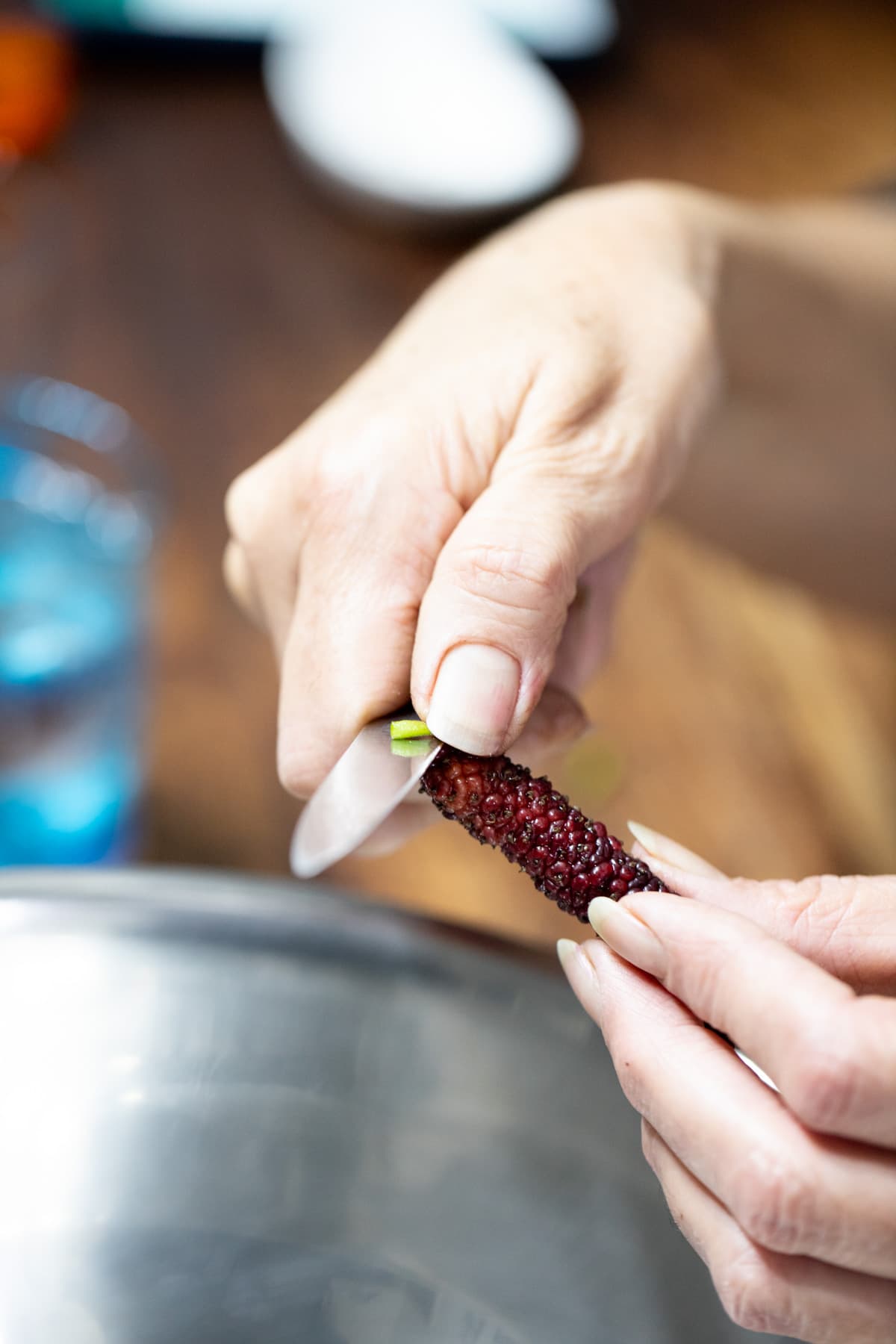 cutting the stem of the mulberries